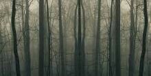 Keren Polland banner
