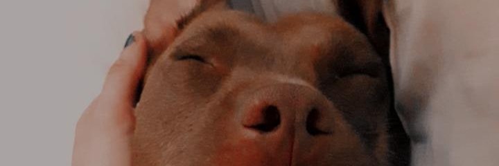 nadiaatorres1's profile banner image