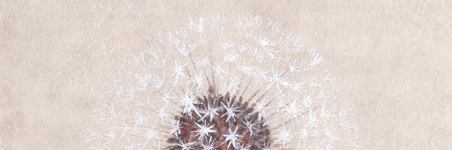 zoegonta's profile banner image
