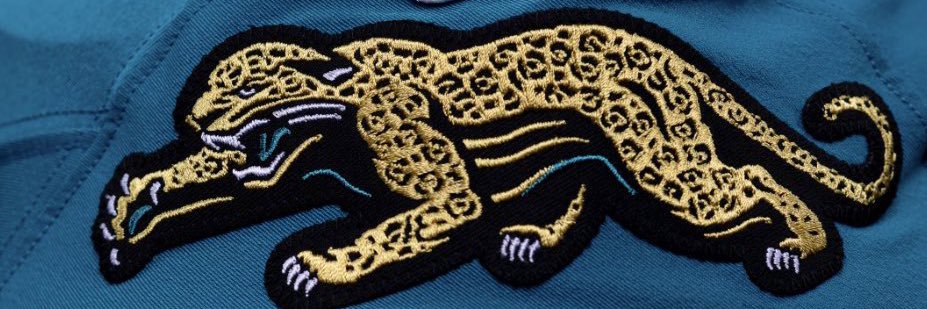 #1 SMALL MARKET TEAM FAN 🇦🇺🐆 banner