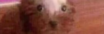 namil0s's profile banner image