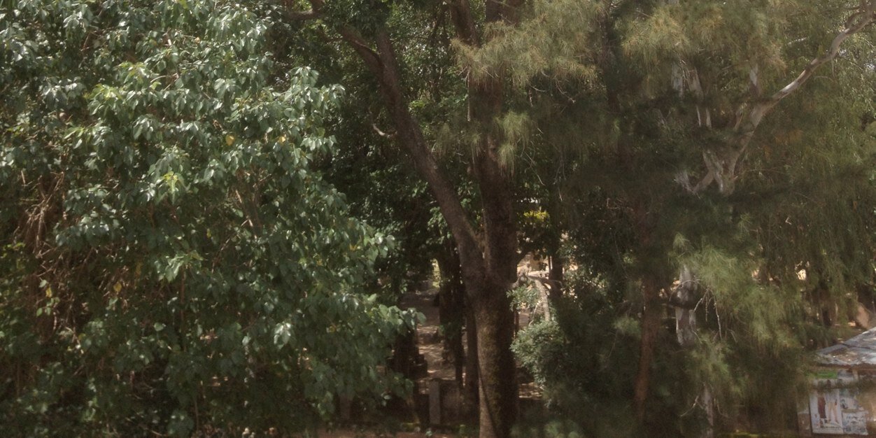 crossie234's profile banner image