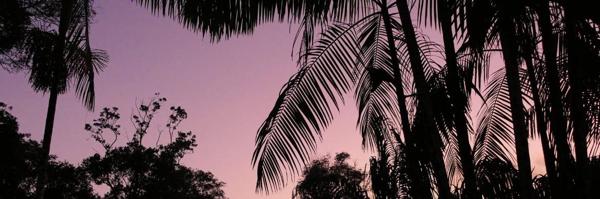 jm_bkl's profile banner image
