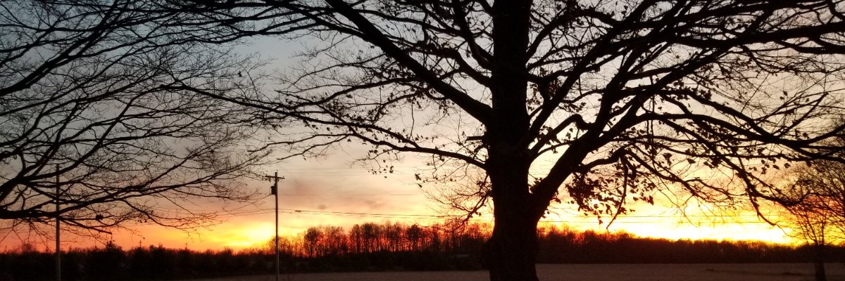 tlova's profile banner image