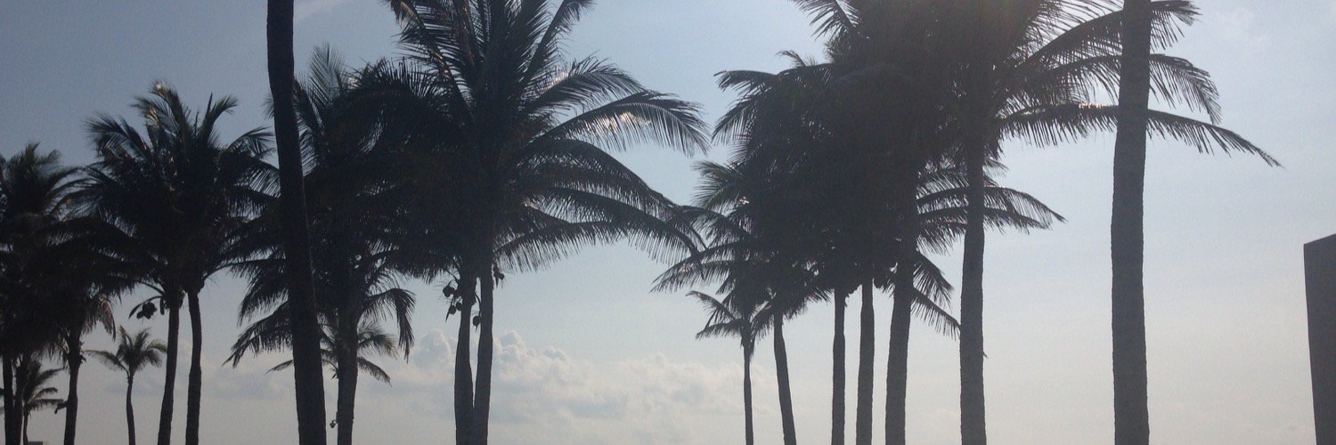 michblondeel's profile banner image