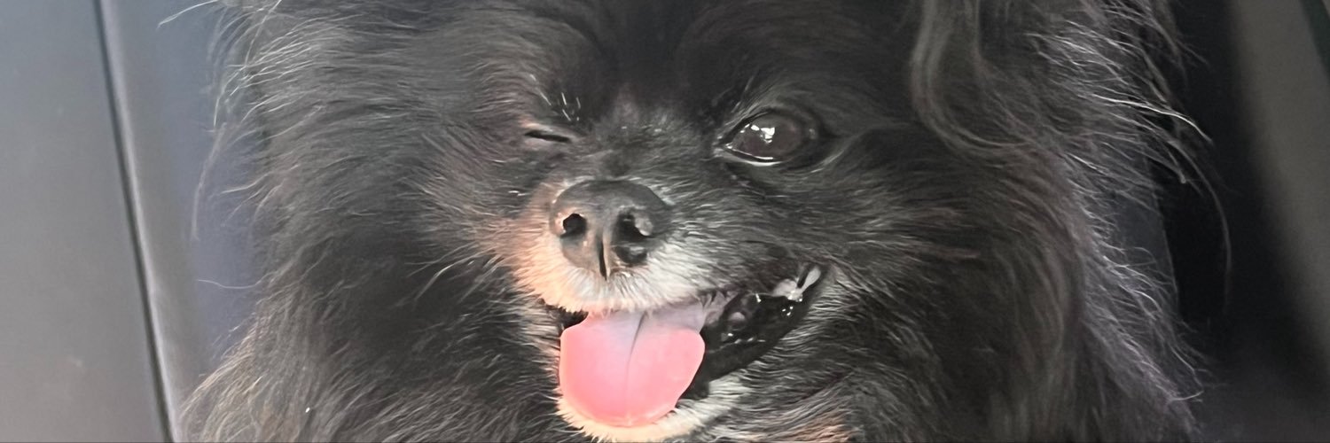 secretsquirrel_'s profile banner image