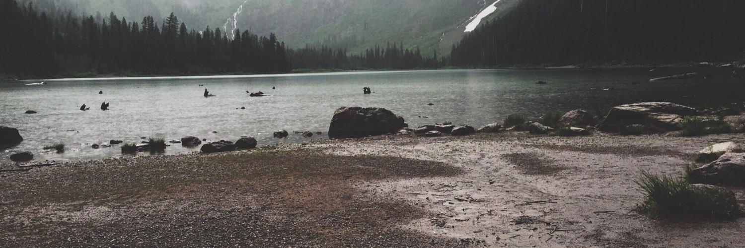 RebeccaAHarris's profile banner image