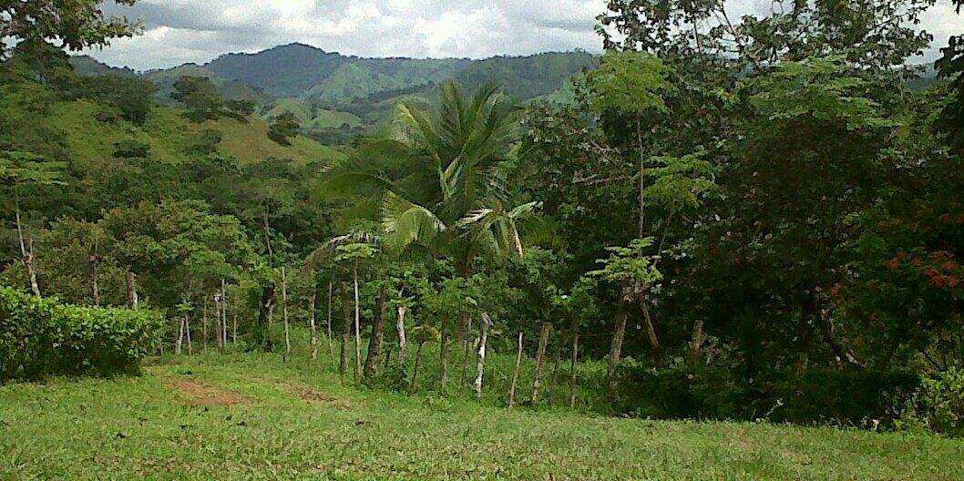 Luis Barahona banner