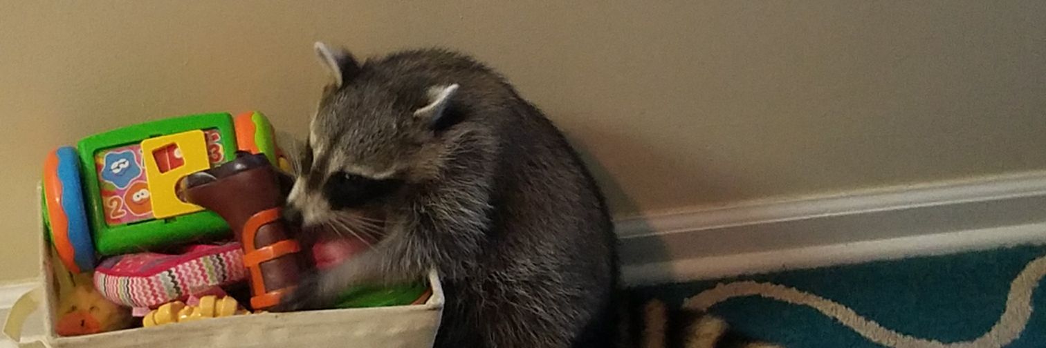 MrsCarrieLane's profile banner image