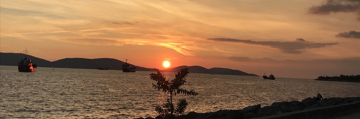 erdalsevinc's profile banner image
