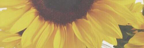 LovexRyan's profile banner image