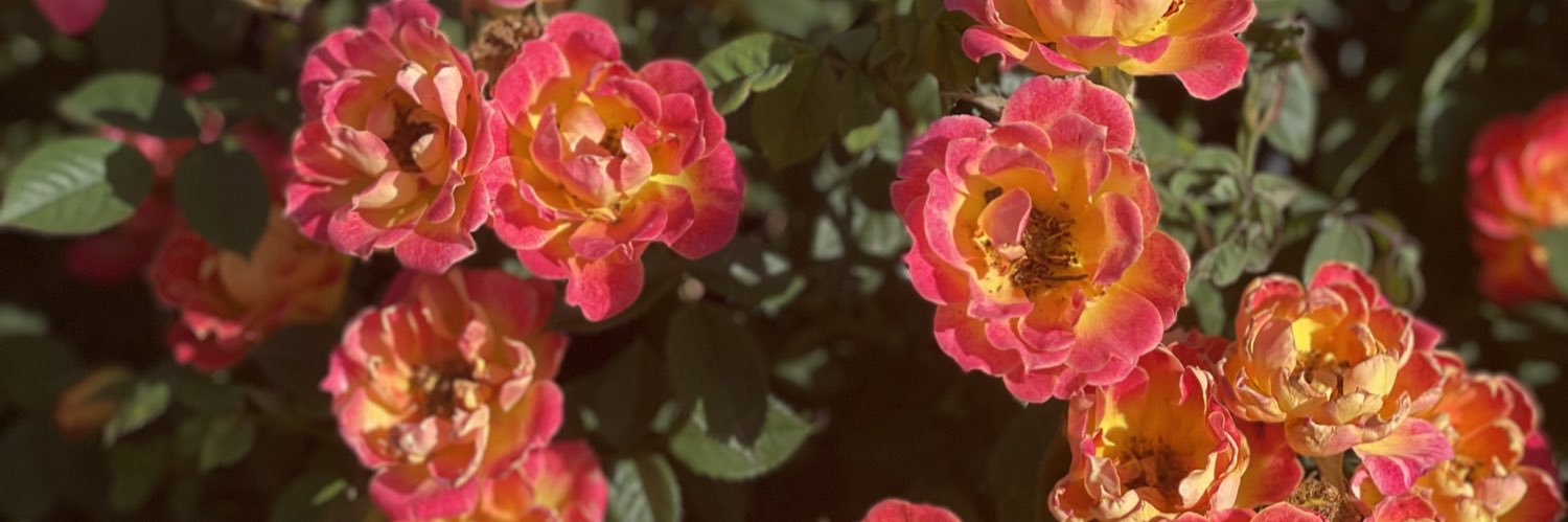 Green Acres Nursery & Supply banner