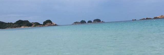 ✰ Mme Firdaws ✰ ツ banner