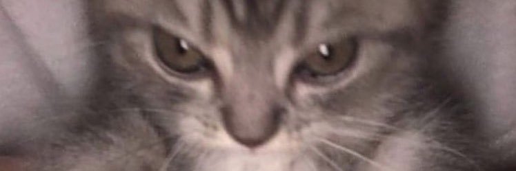 sickofelizabeth's profile banner image