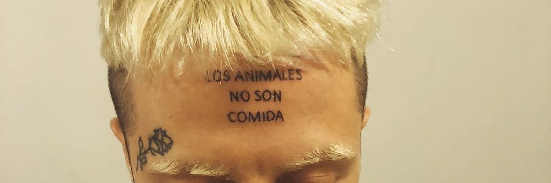 ･ﾟﾟ･*:༅｡*ﾟ:*:✼♡✼:*ﾟ:༅｡.｡･ﾟﾟ･ banner