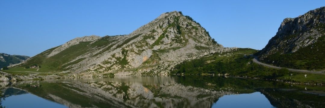 JLopezBrc's profile banner image