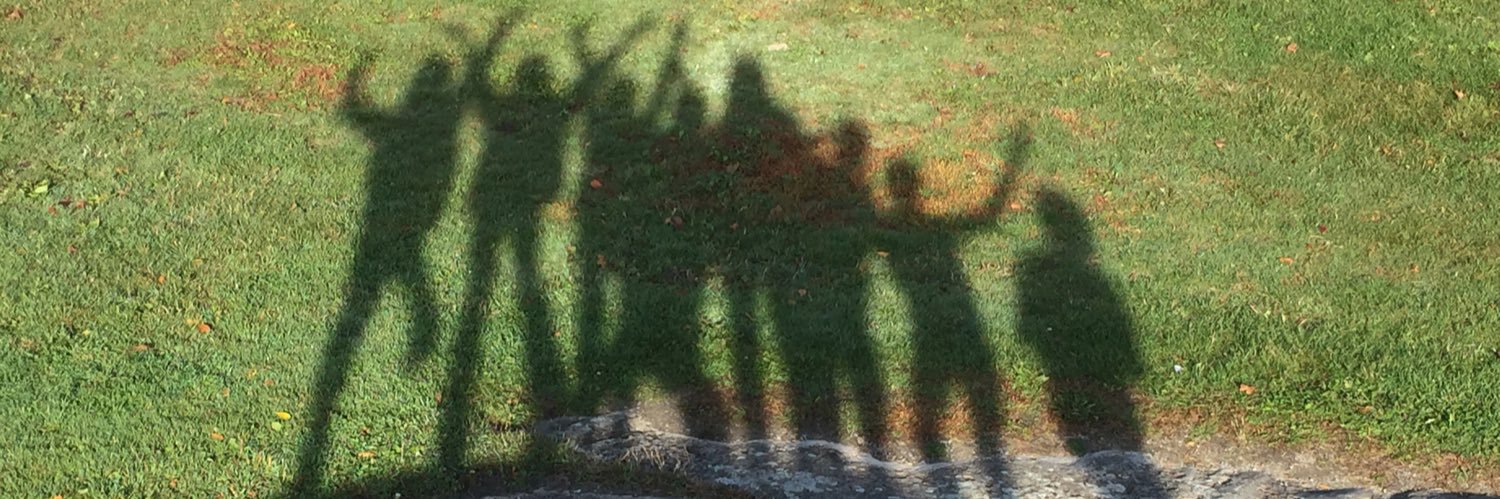 OttawaCathSB's profile banner image