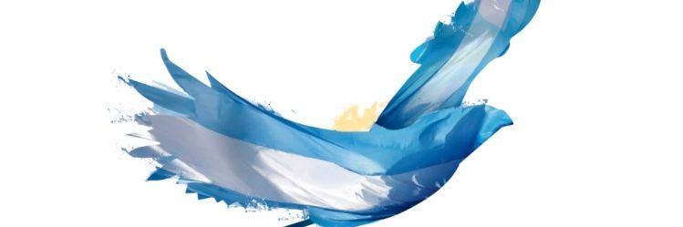aleborgna's profile banner image