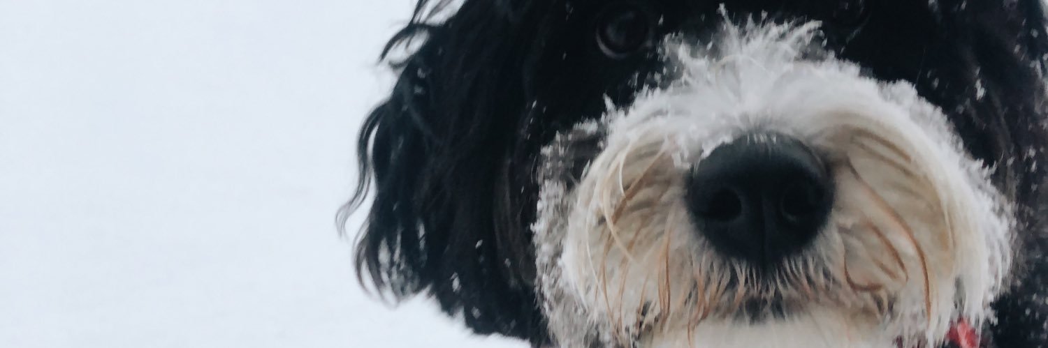 chloeruggless's profile banner image