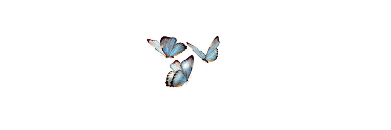 thaisamonteirop's profile banner image