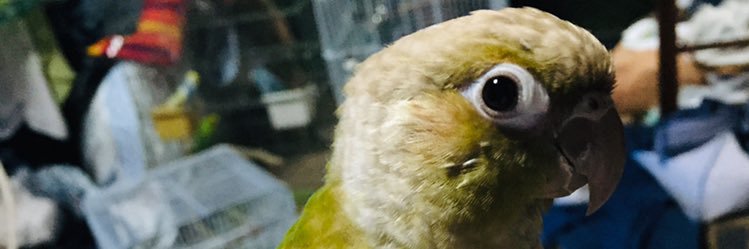 ウーゴ banner