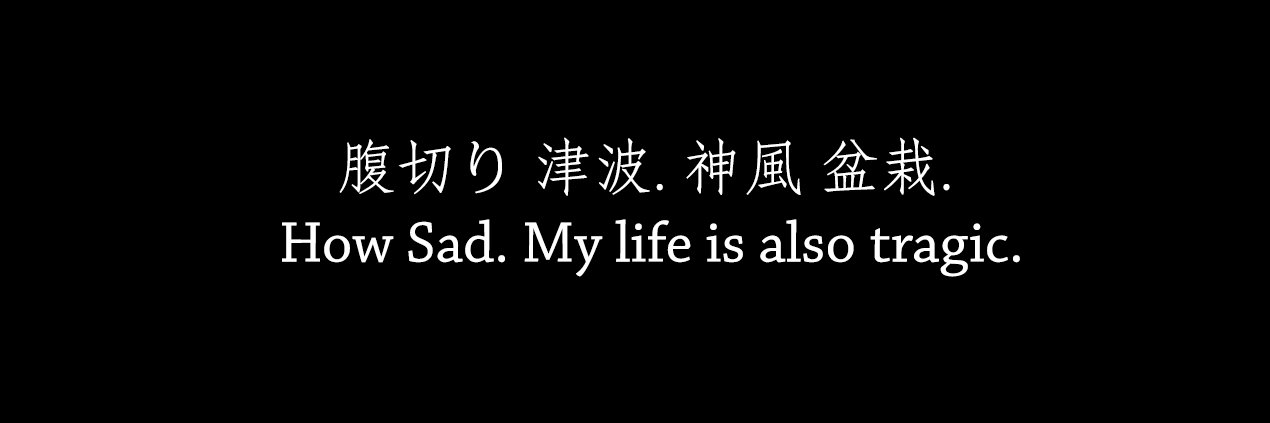 ☲ 流星 ☷ banner