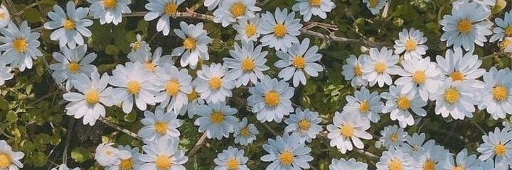LucianaSol13's profile banner image