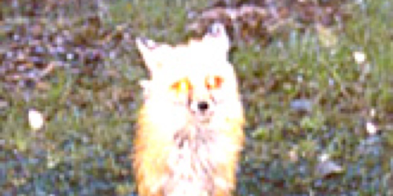 nottylerfoster's profile banner image