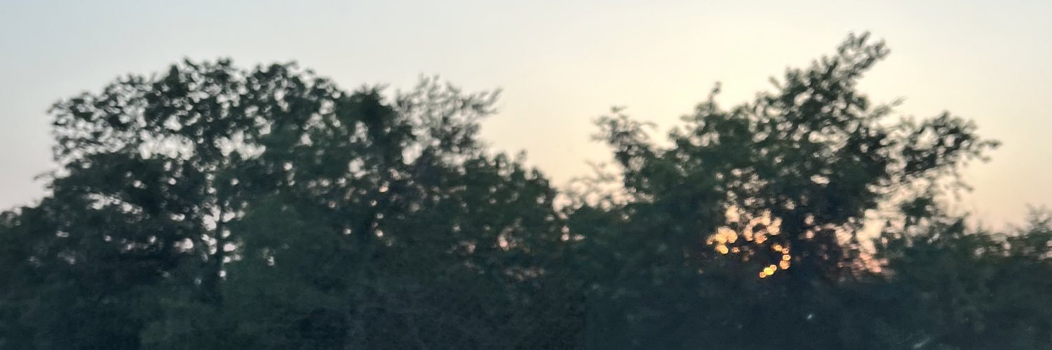 moogie626's profile banner image