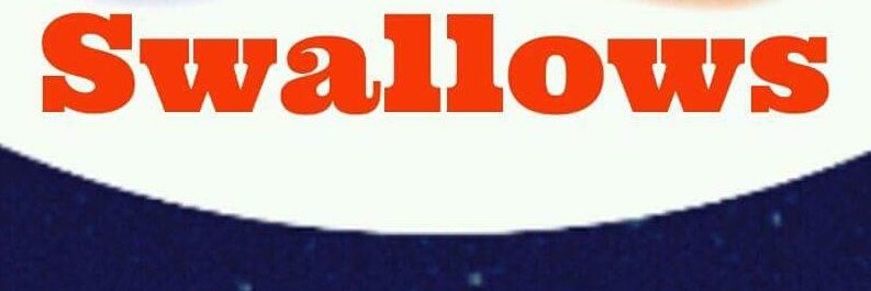 VebianL's profile banner image