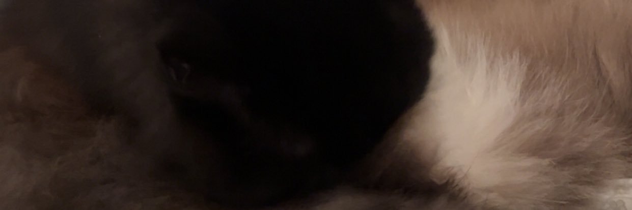 Talamer7's profile banner image