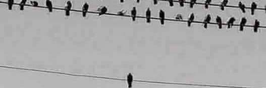 HISHAM_S_EMAM's profile banner image
