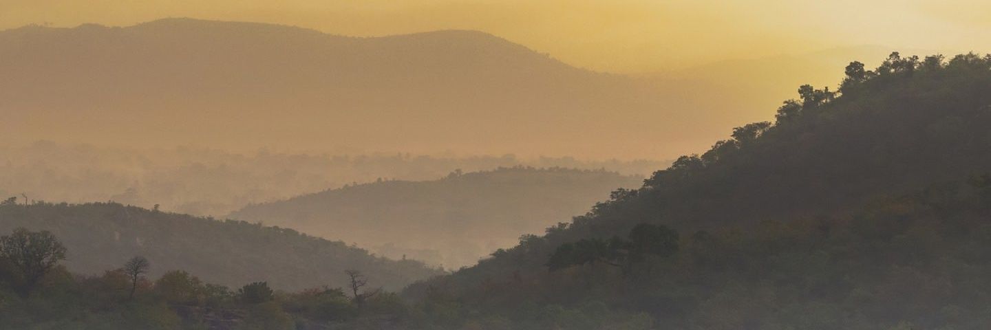JacobSsenyonga's profile banner image
