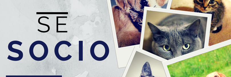 ASISPET's profile banner image