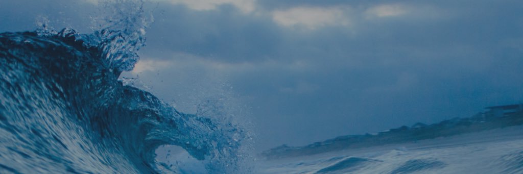 Beth Scattergood banner