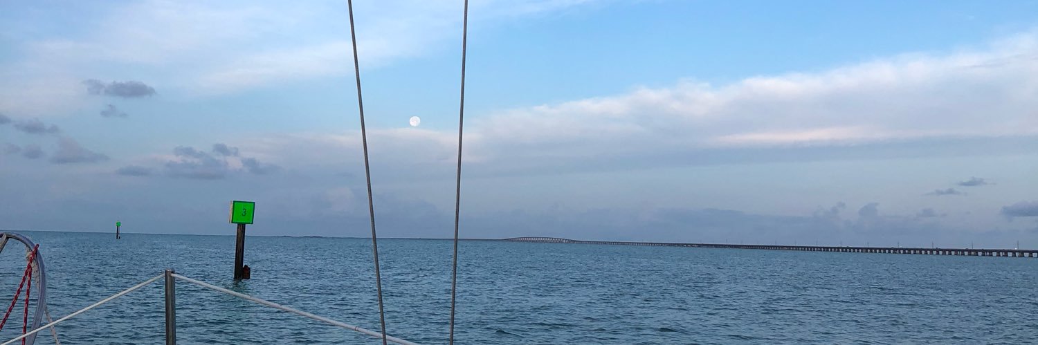 mtreardon's profile banner image