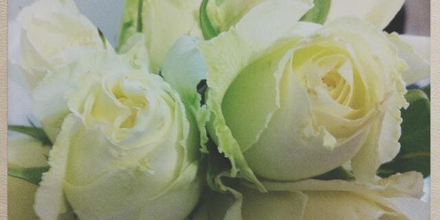 ca_vitorino's profile banner image