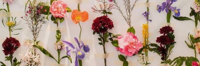 andrea_esp1's profile banner image