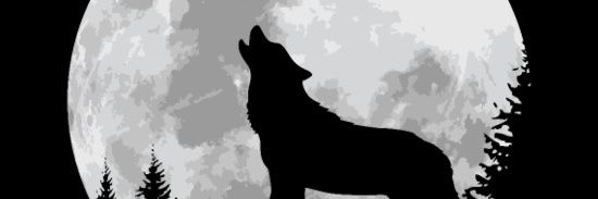 FrankyJDavid's profile banner image
