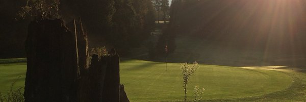 Scooter_Turf Profile Banner