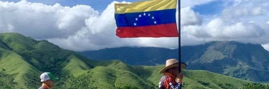 🥥🇻🇪 banner