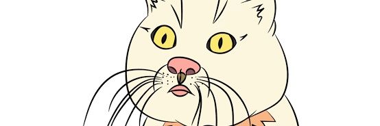 Bitole_'s profile banner image