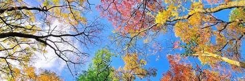Jadinhasmith's profile banner image
