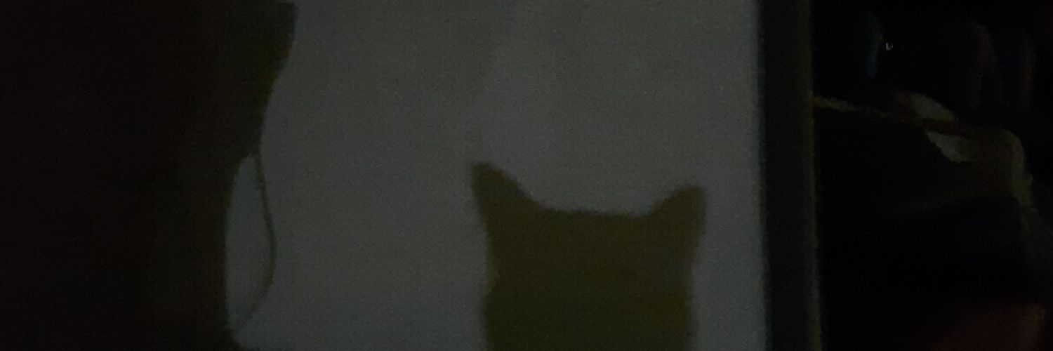 LyraLuana's profile banner image