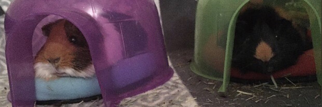 derrickxvx's profile banner image