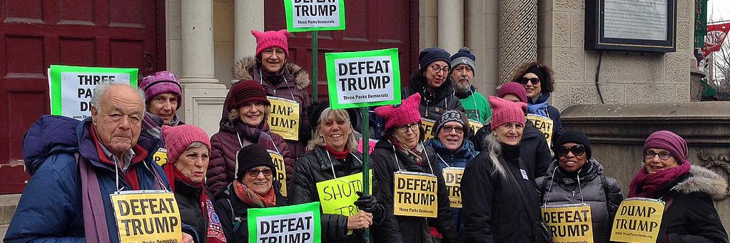 Three Parks Dems banner