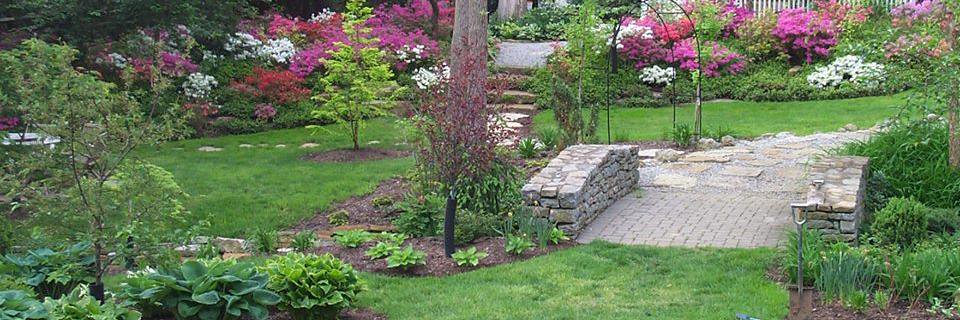 Mike Antenucci banner