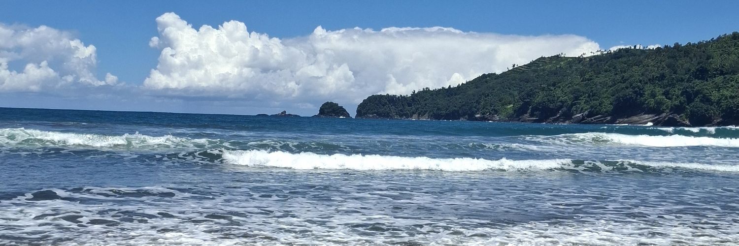 Dicky Surya - ꦢꦶꦕ꧀ꦏ꧀ꦪ꧀ꦱꦸꦂꦪ banner