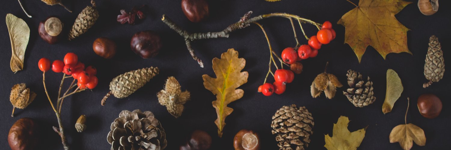 robinjeree's profile banner image