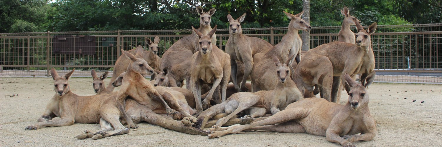 カンガルー広場（ひびき動物ワールド）'s banner